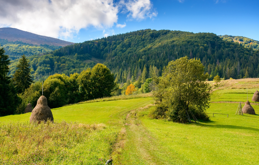 Вересень у Карпатах 2025 погода, ризики та як адаптувати спорядження