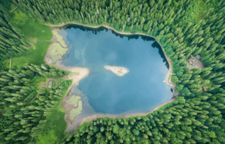 Озеро Синевир + ведмежий центр як спланувати день у серці Карпат, поєднуючи природу, культуру та екотуризм