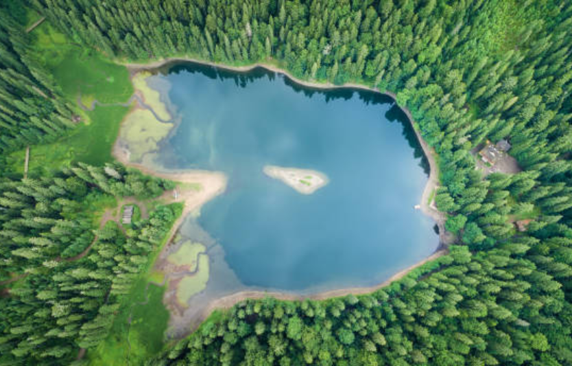 Озеро Синевир + ведмежий центр як спланувати день у серці Карпат, поєднуючи природу, культуру та екотуризм
