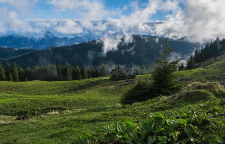 Похід на гору Кострич — тиха альтернатива Говерлі