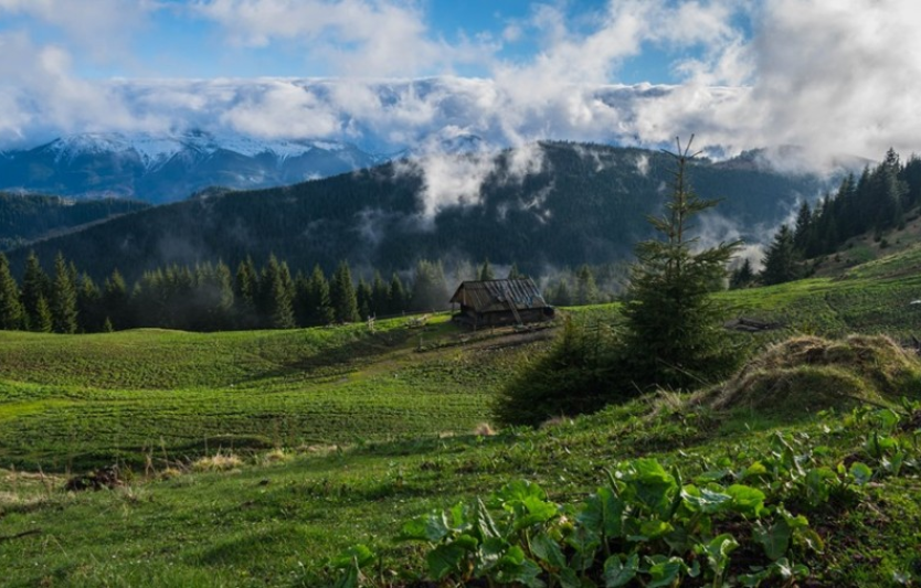 Похід на гору Кострич — тиха альтернатива Говерлі