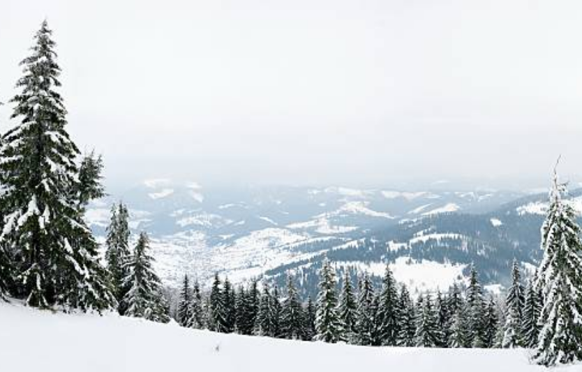 Зима у Карпатах туристичний огляд сезону