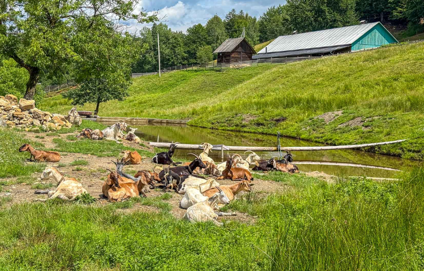 У Карпати вище хмар на український Памір